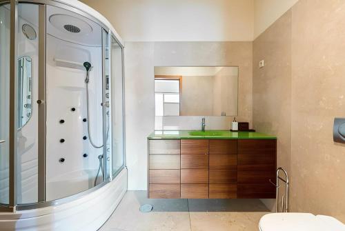 a bathroom with a shower and a sink at Mansion with Swimming Pool, Pool Table & GrillArea in Braga
