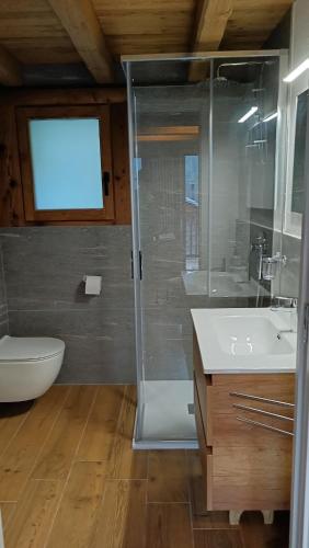 a bathroom with a shower and a toilet and a sink at NUBERLAND nuovo alloggio appena ristrutturato e inaugurato in Gaby