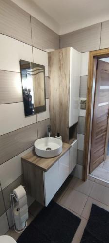 a bathroom with a sink and a mirror at Apartament Przylesie 2 in Stężyca