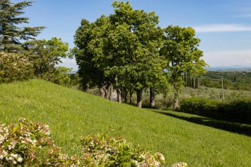 a grassy hill with trees on top of it at Borgo Villa Certano - Case Vacanza in Toscana in Siena