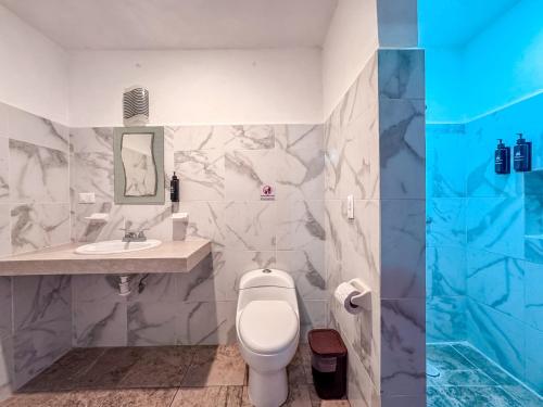 a bathroom with a toilet and a sink at Hotel Santa Ana in Valladolid