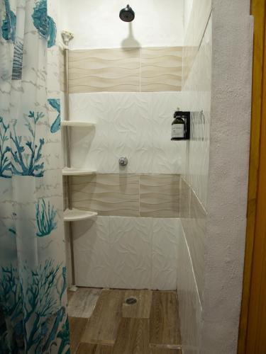 a shower with a glass door in a bathroom at Vicina Maris Beach Lodge in María Chiquita