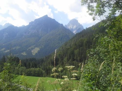 a mountain range with a green field and trees at Waldhaus in Hinterstoder
