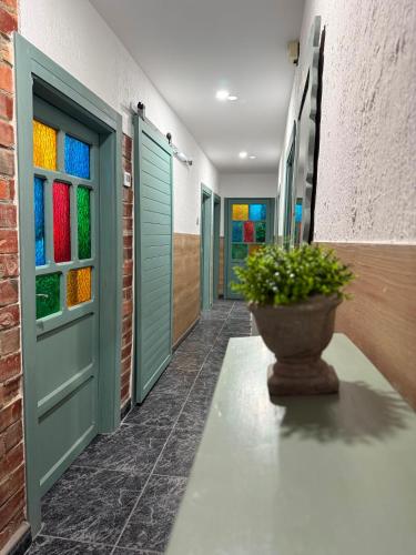 a hallway with colorful doors and a potted plant at La casa de Ángel in Llombera