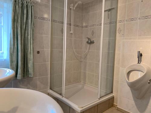 a bathroom with a shower with a toilet and a sink at Ferienhof Saalendorf in Großschönau
