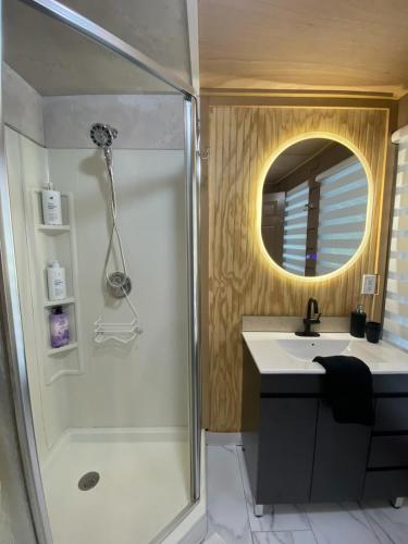 a bathroom with a shower and a sink and a mirror at Tiny Home in Lawrenceville in Lawrenceville