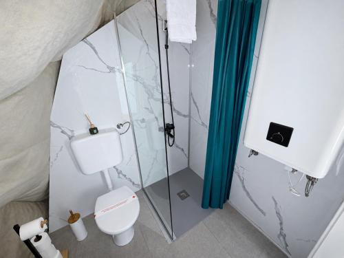 a bathroom with a toilet and a shower at Sutjeska Glamping Domes in Tjentište