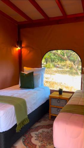 a bedroom with two beds and a window at Terracotta River Hideaway in Maun