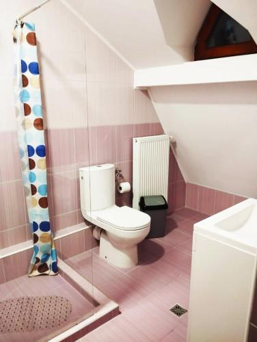 a small bathroom with a toilet and a sink at Vila Vali in Şuncuiuş