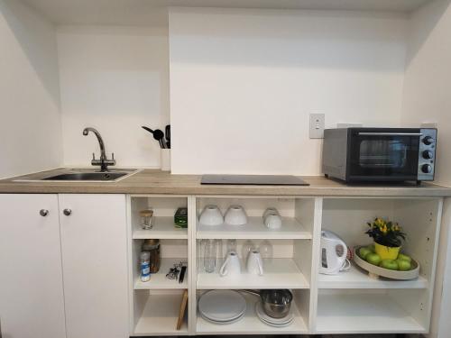 a kitchen with a counter with a microwave and a sink at Historic Loft in Cork in Cork