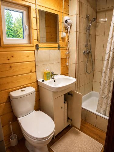 a bathroom with a toilet and a sink and a shower at Domki u Henia i Anety in Werlas