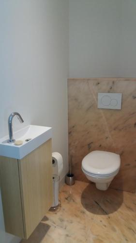 Koupelna v ubytování Het Findament Tiny house