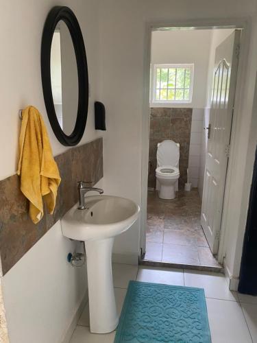 a bathroom with a sink and a mirror and a toilet at Nyumba Nzuri in Ukunda, Diani in Ukunda
