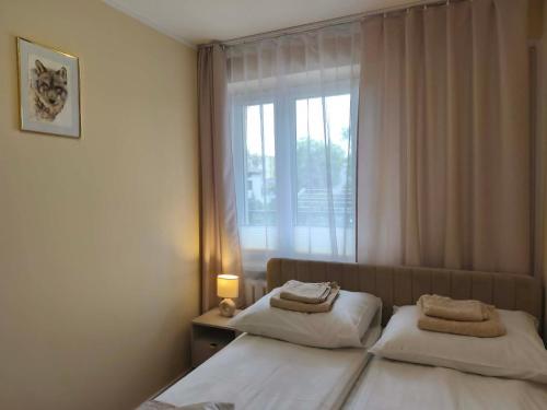 two beds in a hotel room with a window at Apartament Kaszmirowy in Gorlice