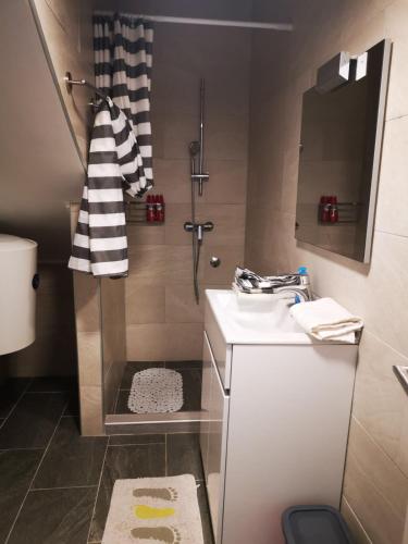 a small bathroom with a sink and a shower at Apartments Škrobot in Senj
