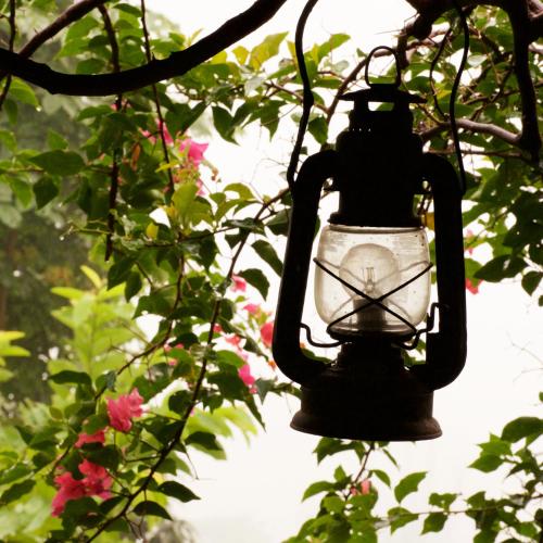 a street light hanging from a tree with pink flowers at The Famous Farm in Nawākot