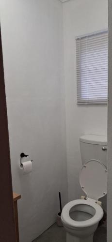 a bathroom with a white toilet and a window at Hope's Harvest Nook in Montagu