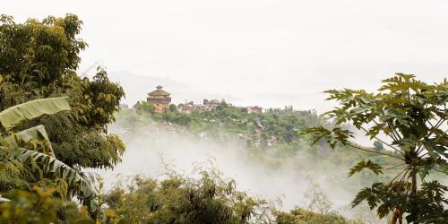 a temple on top of a hill in the jungle at The Famous Farm in Nawākot