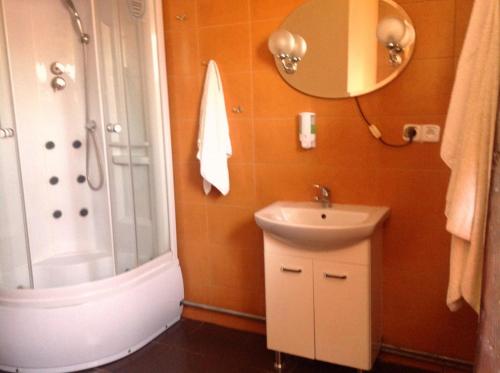 W łazience znajduje się prysznic, umywalka i lustro. w obiekcie Agroturystyka Pod Lipą w mieście Iwaniska