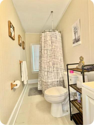 a bathroom with a toilet and a shower curtain at Charming Cozy Getaway in Oneonta