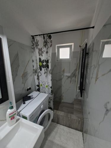 a bathroom with a sink and a toilet and a shower at Codruta Home in Râmnicu Vâlcea