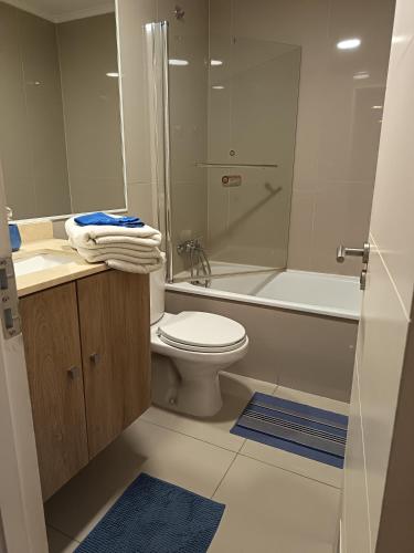 a bathroom with a toilet and a sink and a shower at Departamento Edificio Centro Osorno in Osorno