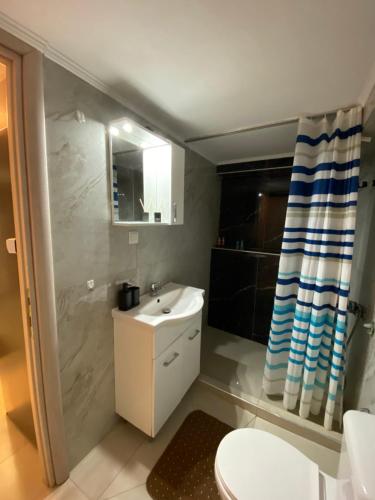 a bathroom with a sink and a shower and a toilet at Kurti Home in Agia Triada