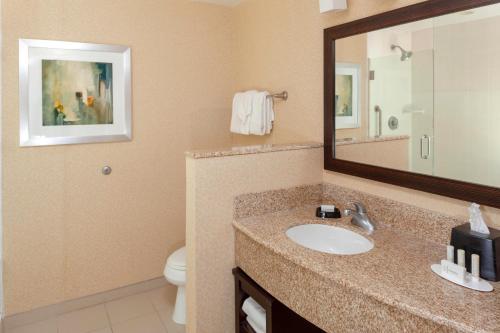 a bathroom with a sink and a mirror and a toilet at Courtyard Memphis Downtown in Memphis