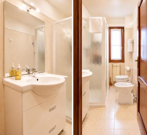 a bathroom with a sink and a toilet at Appartamento Lisander in Ponte di Legno