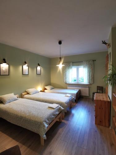 a room with four beds and a window at Siedlisko pod Orzechem in Przyłęk