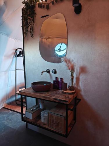 a bathroom with a sink and a mirror on a wall at Domein de Koekoeksvlooghe in Lo-Reninge