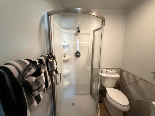 a bathroom with a shower and a toilet at Priest Station Cafe & Cabins in Groveland