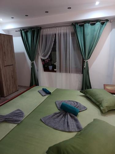 a large green bed with green curtains and pillows on it at Casa Cristyana in Orşova