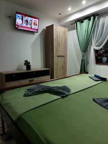 a bedroom with a green bed with a tv on the wall at Casa Cristyana in Orşova