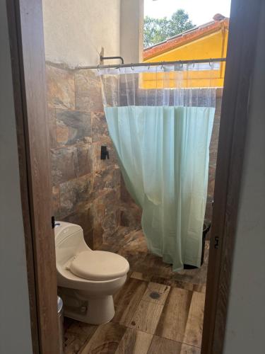 a bathroom with a toilet and a blue shower curtain at Finca La Yeye in Puentetierra