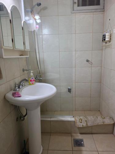 a bathroom with a sink and a shower at Casa del centro in San Martín