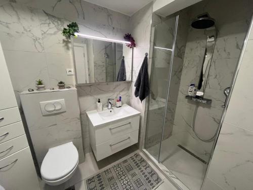 a bathroom with a shower and a toilet and a sink at Sea you in Bar in Bjeliši