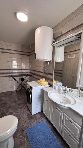 a bathroom with a sink and a washing machine at Apartma Rožman in Radenci