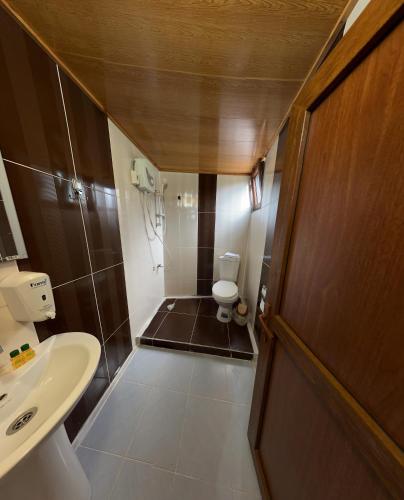 a small bathroom with a toilet and a sink at Abduloğlu Butik Otel in Ayder Yaylasi