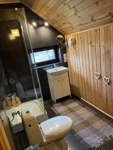 a bathroom with a toilet and a shower and a sink at Domki Florentyna Szklarska Poręba-Wojcieszyce in Wojcieszyce