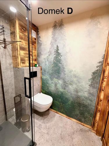 a bathroom with a shower and a toilet at Pod Bieszczadzkim Niebem in Lutowiska