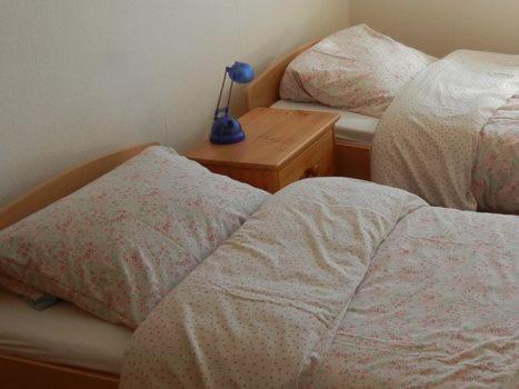 a bedroom with two beds and a lamp on a night stand at Ruhige Wohnung im Grünen Lichtenwald in Thomashardt