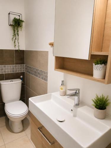 a bathroom with a white sink and a toilet at Studio Terrasse - Parking gratuit in Orléans