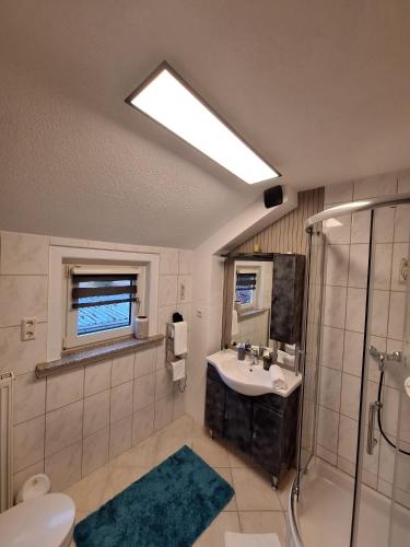 a bathroom with a sink and a shower at Nicholas Apartment-Thuringer Wald in Tambach-Dietharz