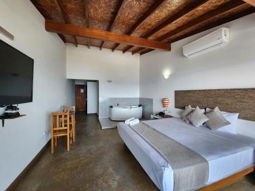a bedroom with a large bed and a television at Akas Hotel Apartamentos in Canoas de Punta Sal