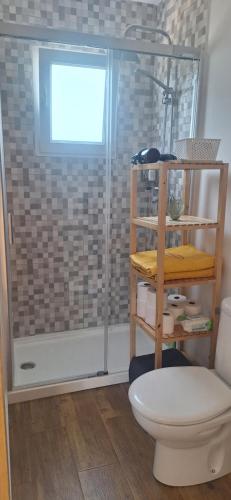a bathroom with a shower and a toilet and a window at Casa Lyly in Quincoces de Yuso