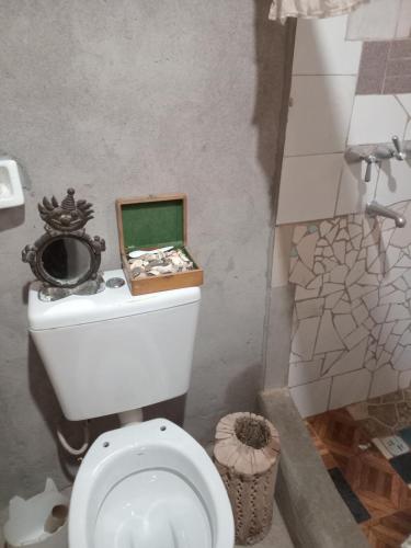 a bathroom with a toilet with a box on it at casa domo in Maimará