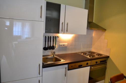 Vienna Comfort Apartmentsにあるキッチンまたは簡易キッチン