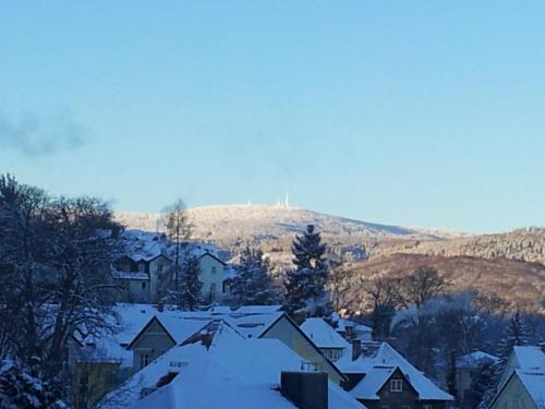 a village covered in snow with a hill in the background at Pension Schweizer Hof in Wernigerode