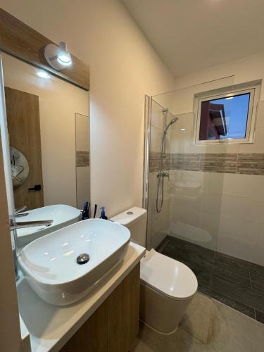 a bathroom with a sink and a toilet and a shower at Serene Shores, Punta Azul, Westpunt in Westpunt